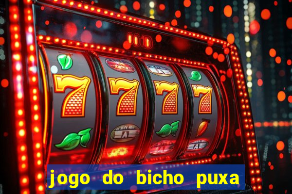 jogo do bicho puxa de dona maria